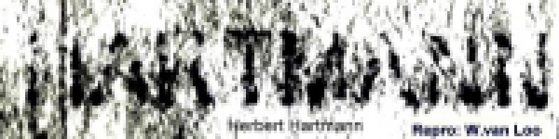 Herbert Hartmann