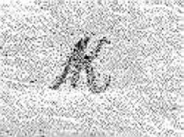 Athanas Kicukis (Kichukis)