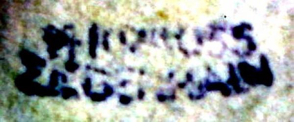 Krauss_Hans_Ziegenhain_vL_briefmarkenpruefer_signatur_pruefzeichen