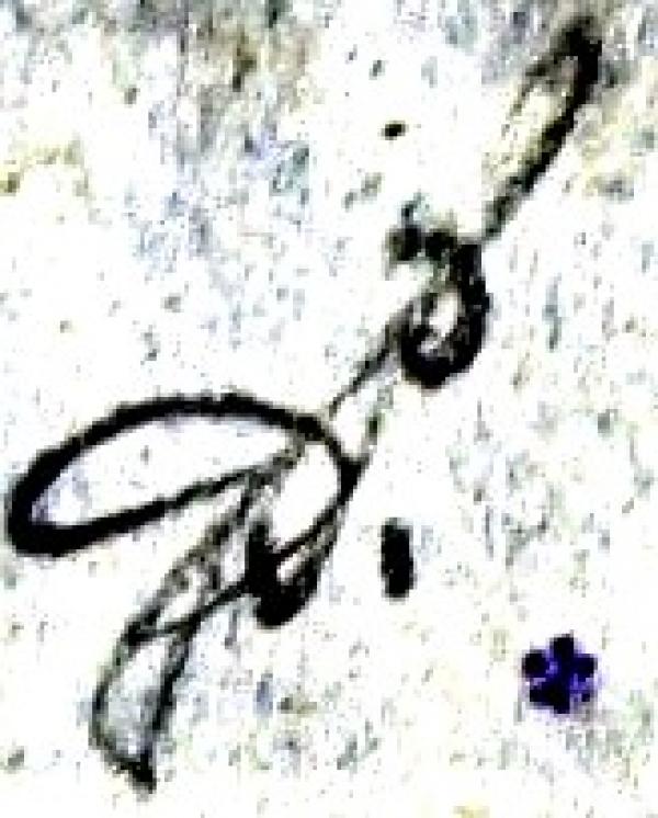 PuloaasGunnar_briefmarkenpruefer_signatur_pruefzeichen