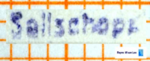 Wilhelm C. G. L . Sellschopp