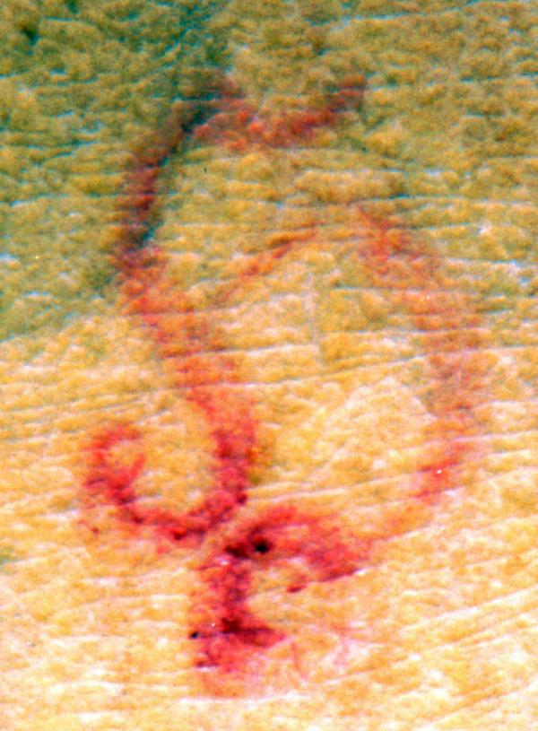 heinze_1_briefmarkenpruefer_signatur_pruefzeichen