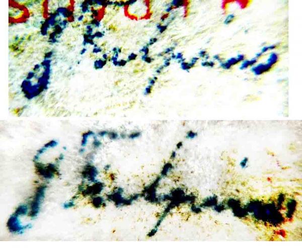 FulpiusDr_1_briefmarkenpruefer_signatur_pruefzeichen