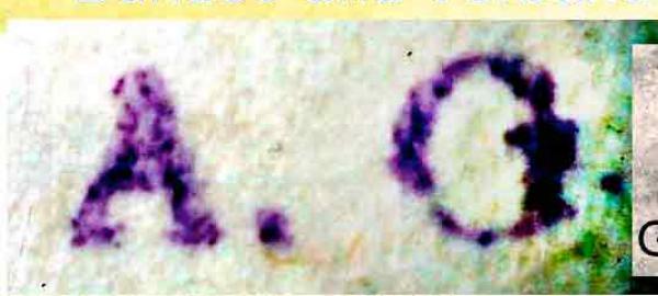 Glasewald-A.E_1_briefmarkenpruefer_signatur_pruefzeichen