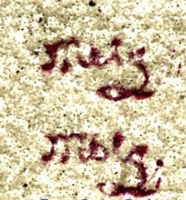 Metzger O.jpg_1_briefmarkenpruefer_signatur_pruefzeichen