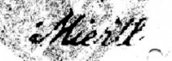 Gyula (Julius) Miertl