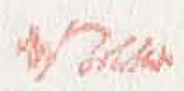 bohler_signatur_briefmarkenpruefer_signatur_pruefzeichen