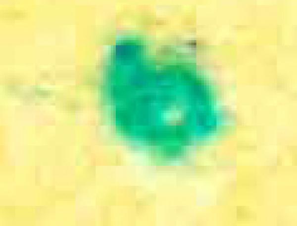 glasewald_tfgeheimgvuzbhdeuihduihdwei_briefmarkenpruefer_signatur_pruefzeichen