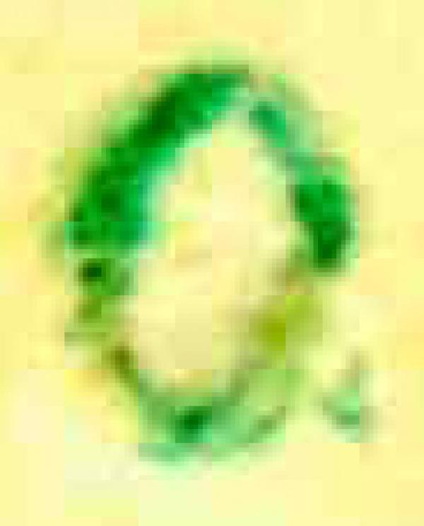 glasewald_tfgvuzbhdeuihduihdwei_briefmarkenpruefer_signatur_pruefzeichen