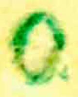 Arthur Ernst Friedrich Glasewald