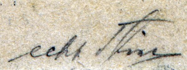 thier_auf_ponape_karte_briefmarkenpruefer_signatur_pruefzeichen