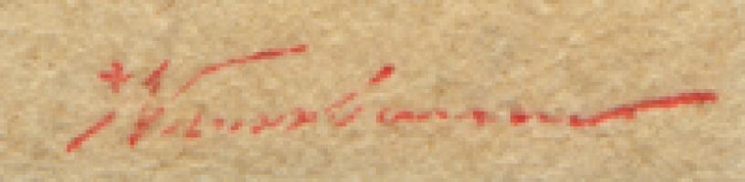 André Nussbaum-Bisser