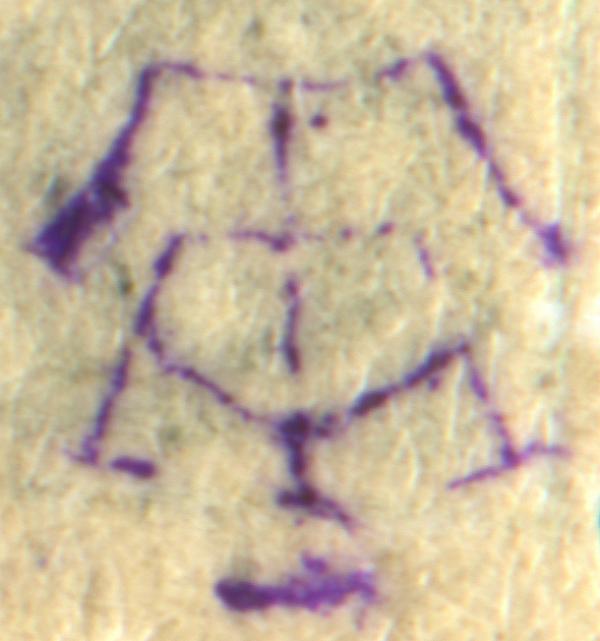 anton_teetsov_sjsioer34uze89hasdjkdgha_briefmarkenpruefer_signatur_pruefzeichen