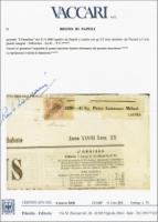 Vaccari