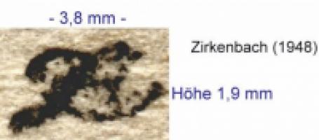 Kurt Traugott Bernhard Zirkenbach