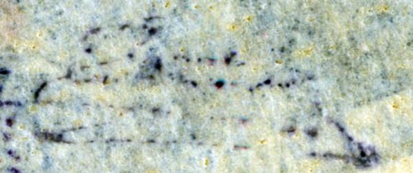 champion_theodore_jdi3fecasdf