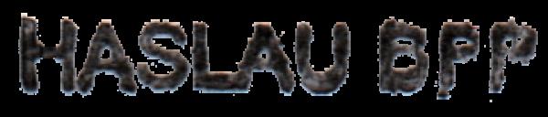 michael-haslau-briefmarkenpruefer-signatur-pruefzeichen-xhgce7643rgedswauitgef762