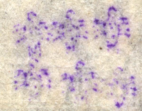 georg_barbe_briefmarkenpruefer-signatur_sjifgedef