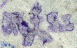 Bund Ungarischer Philatelistenvereine