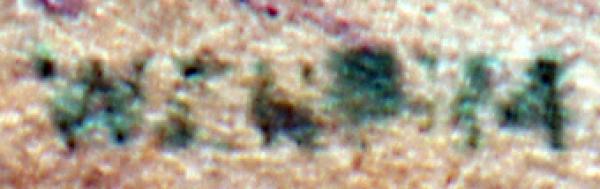 Weheim-gruene-sigantur