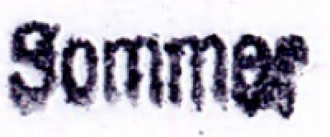 Martin-Wolfgang Sommer