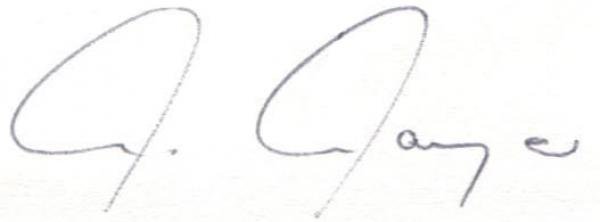 MayerSignatur-handschriftlich-deh8392e7dbs1w