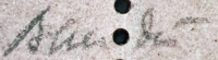 Jean-Francois Baudot