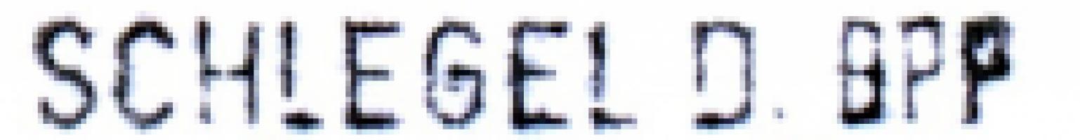 Hans-Dieter Schlegel