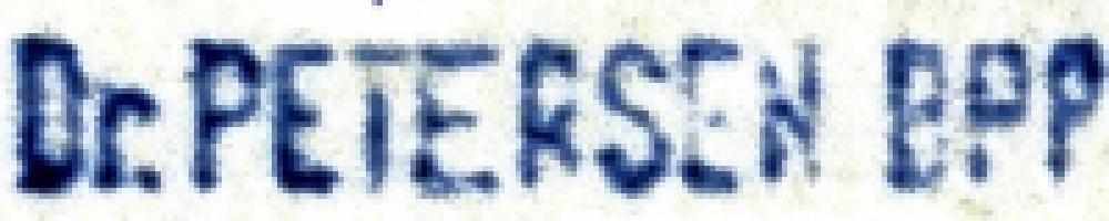 Egon Norbert Petersen