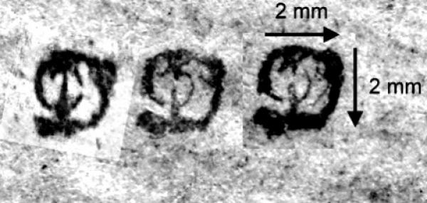 DeckerHerm_briefmarkenpruefer_signatur_pruefzeichen