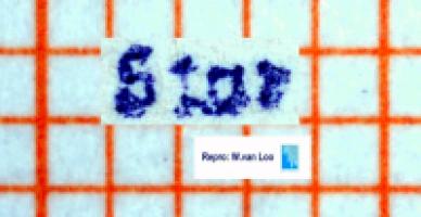 Friedrich Starauschek