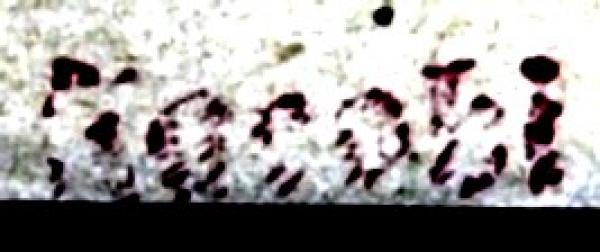 Jacobi_briefmarkenpruefer_signatur_pruefzeichen